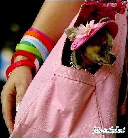 Ксения Микитюк