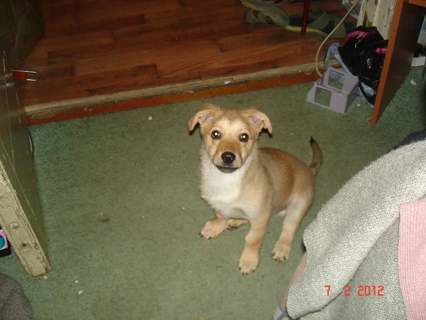 Артем Вологдин