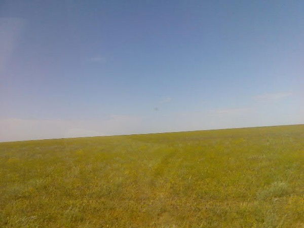 Серик-Аль Фараби Саттибай