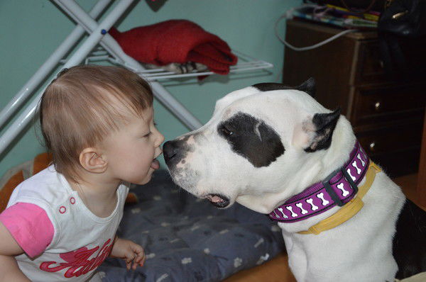 Евгения Станицына