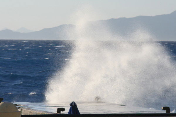 Оксана Крупник