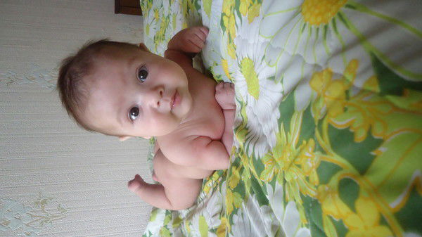 Why Dont We Just Fuck