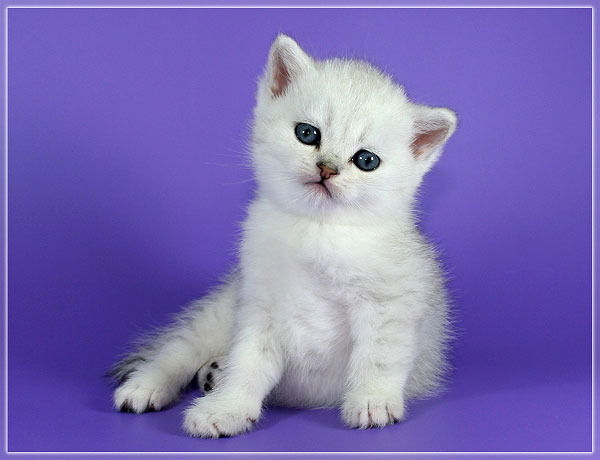 Татьянa Самонова