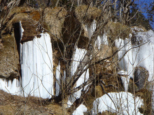 Кирилл Колясников