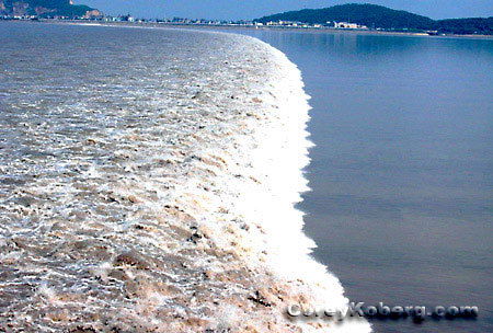 Марина Абросимова-Бердина