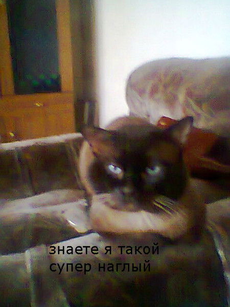 Валентина Зиновьева