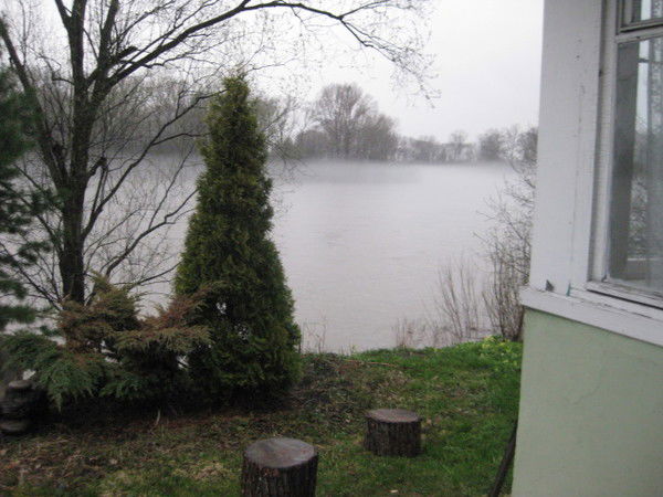 Елена Голубец