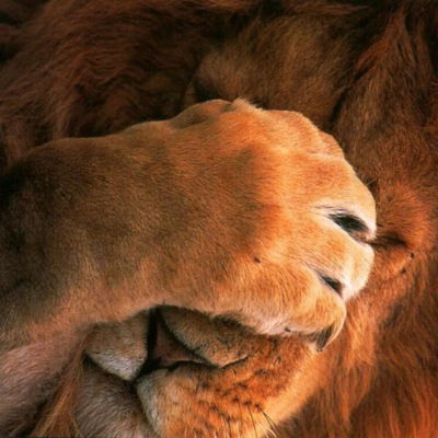 Артур Ермолаев