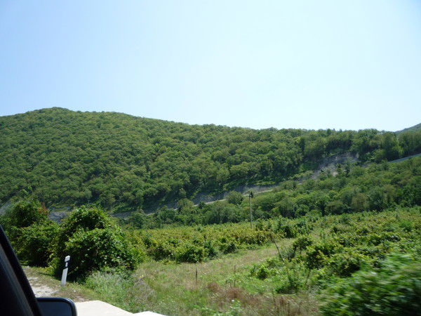 Георгий Шадрин