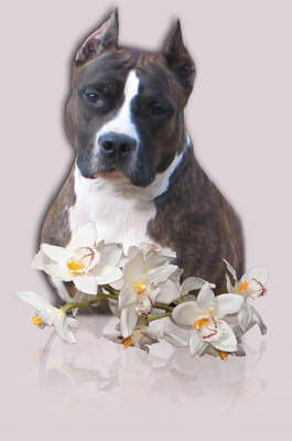 Ксюша Щёлкина