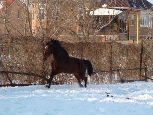 Вени Аминовна
