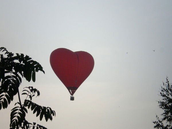 Венера Кобелева