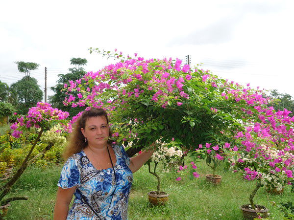 Онега Брусницына