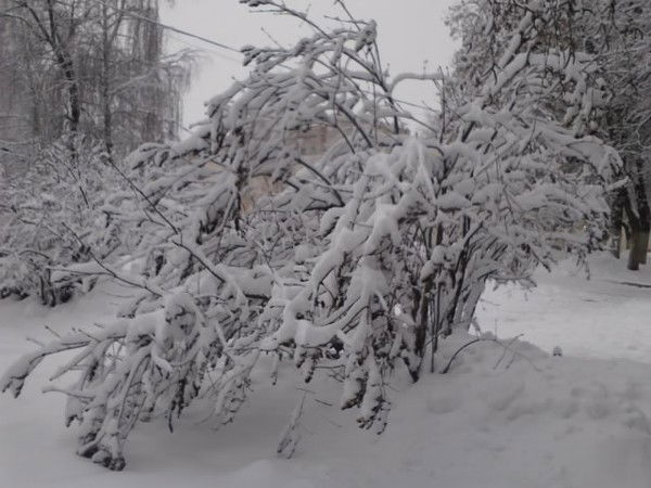 Оля Куклина