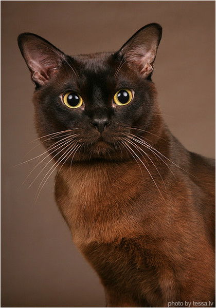 Оксана Калинина