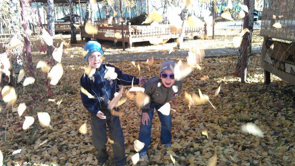 Гульнур Ибраева