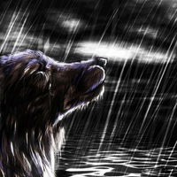 Никита Верещагин