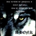 Maksim Maksim