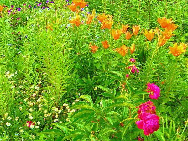 Светлана Кунгурцева