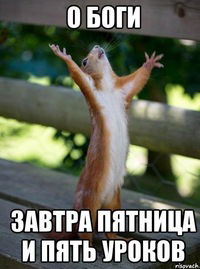 Максим Янюк