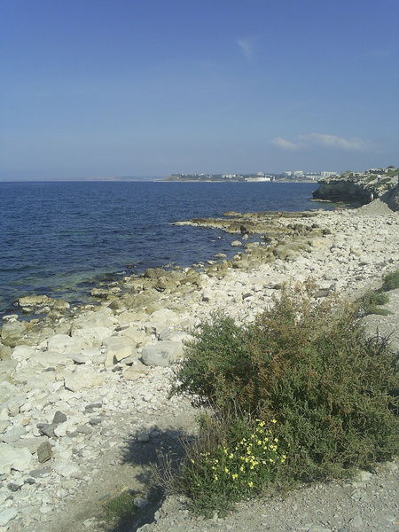 Наталья Медянцева