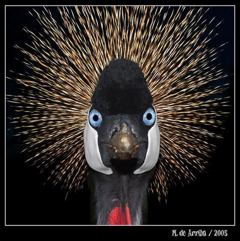 Дарья Завьялова