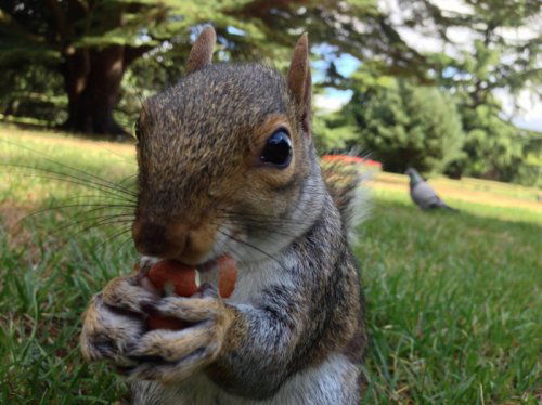 Илья Гончаров