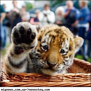 Jekaterina Kovaltsuk