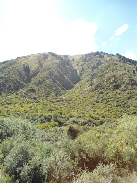 Акеева Мейыркен