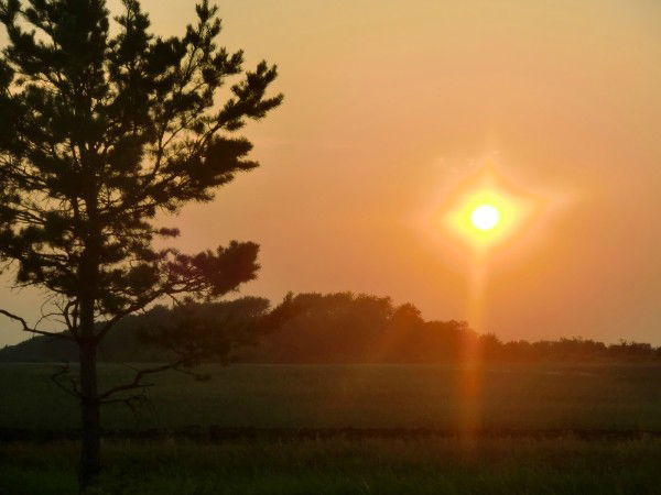 Что нельзя поднять за хвост. Смотреть фото Что нельзя поднять за хвост. Смотреть картинку Что нельзя поднять за хвост. Картинка про Что нельзя поднять за хвост. Фото Что нельзя поднять за хвост