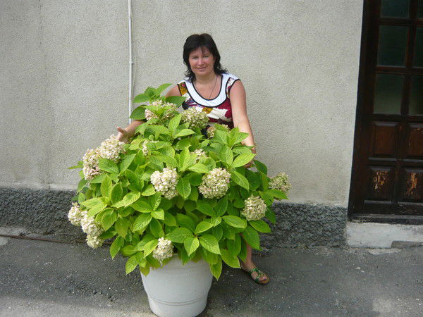 Ольга Дашунина