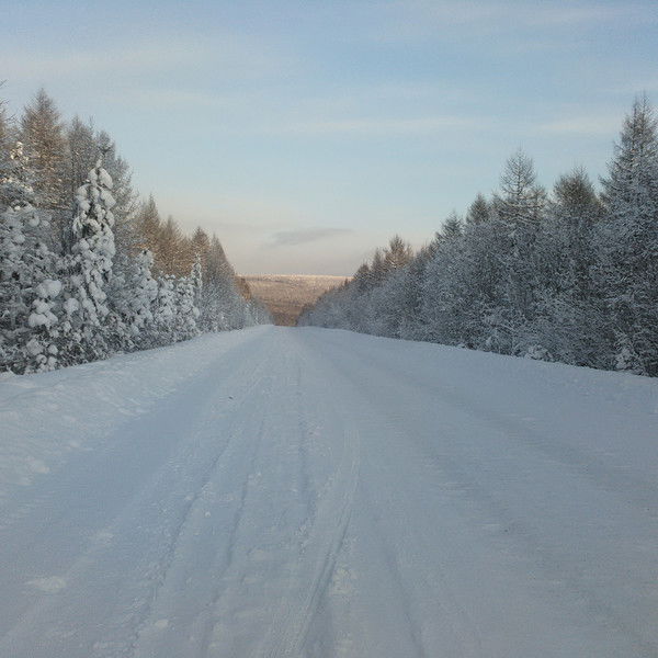 Чингис Гармаев