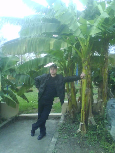 Андрей Романов