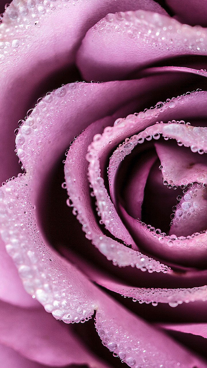 Елена Маховикова