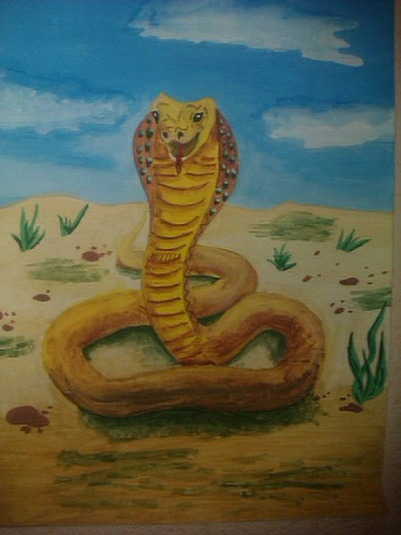 Тынчтыкбек Кашкаралиев