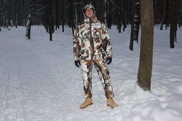 Сергей Володин