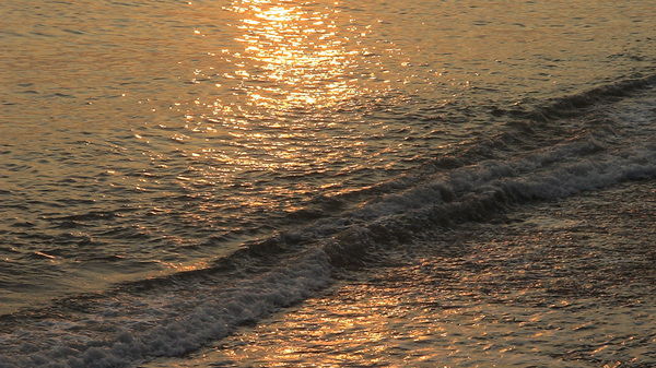 Владимир Голушко