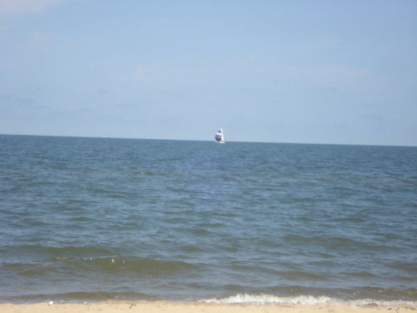 Елена Гусарова