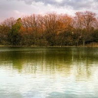 Кирилл Каршаков