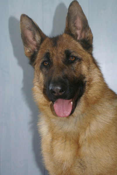 Елизавета Славина