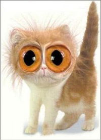 Влад Лазарев