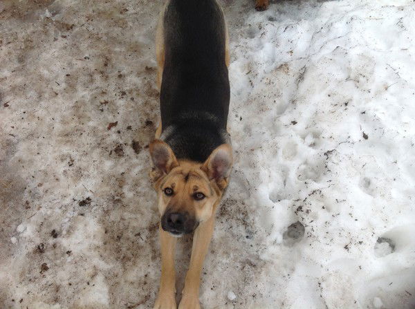 Юрий Матлушинский