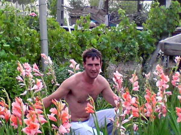 Red Dragonвова Ботюх