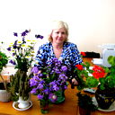 Елена Ващенко