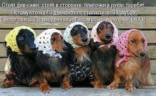 Александр Данилов