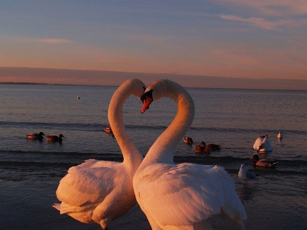 Иван Больдт