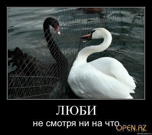 Лилия Рыспекова