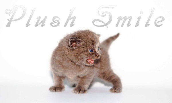 Лариса ..соболева..