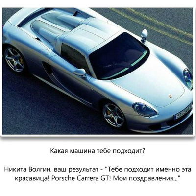 Никита Волгин