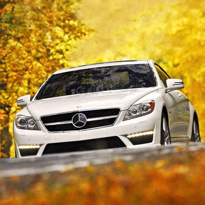 Дмитрий Коняшкин